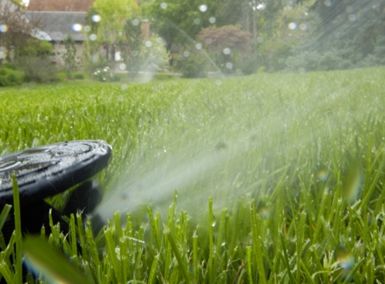 Watering your lawn properly will help it grow deep roots.